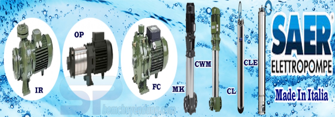 máy bơm công nghiệp SAER Ebara