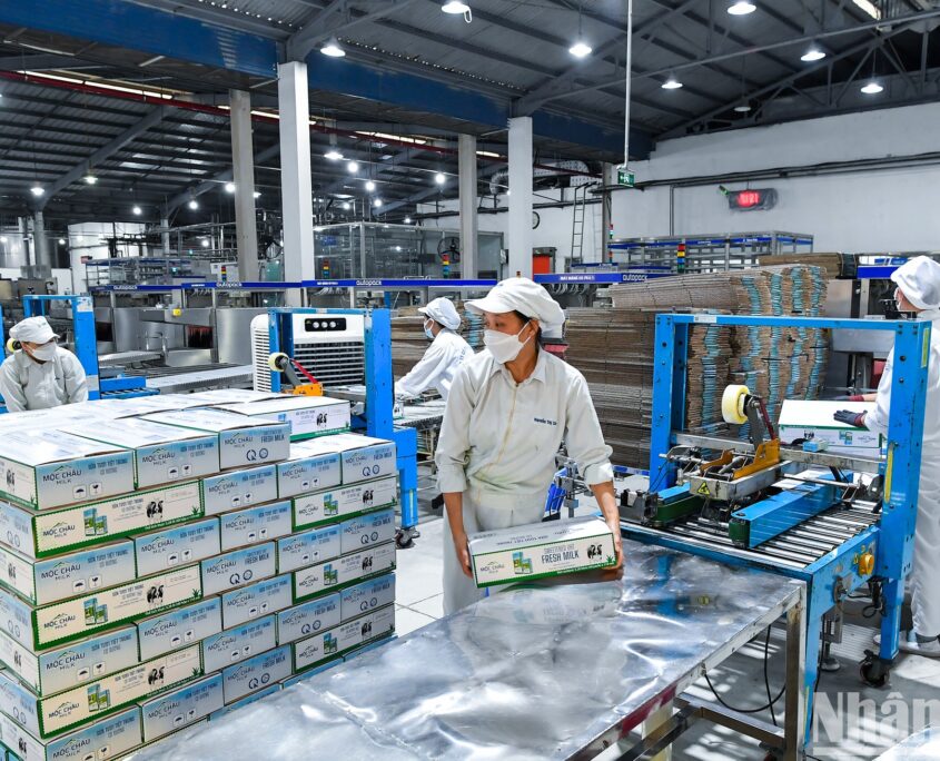 Bơm hóa chất cho nhà máy sữa