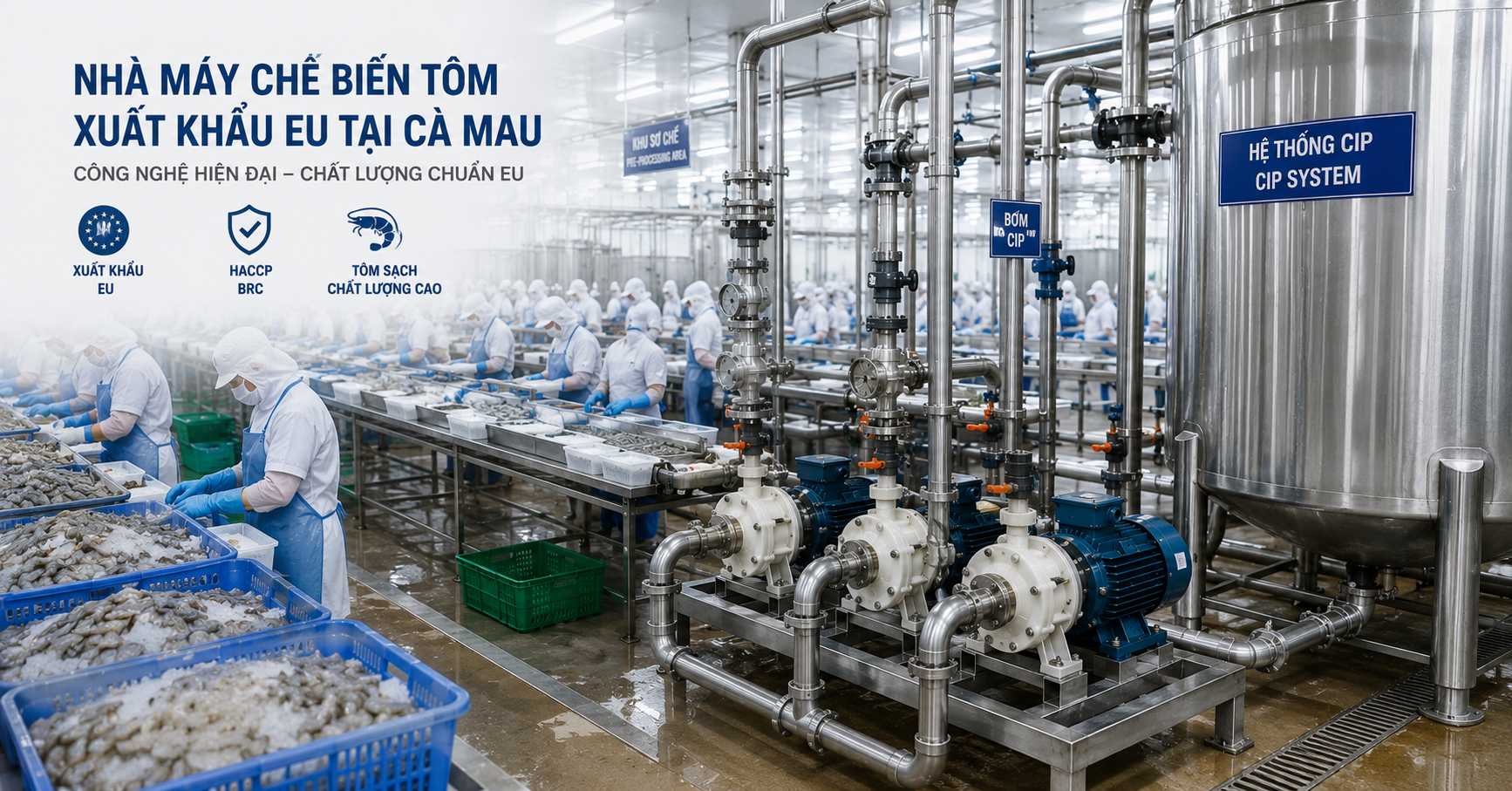 Nhà máy chế biên Tôm Xuất khẩu EU | Pump Pro