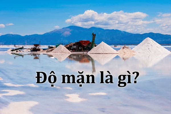 Độ Mặn tại nhà máy Thủy Sản