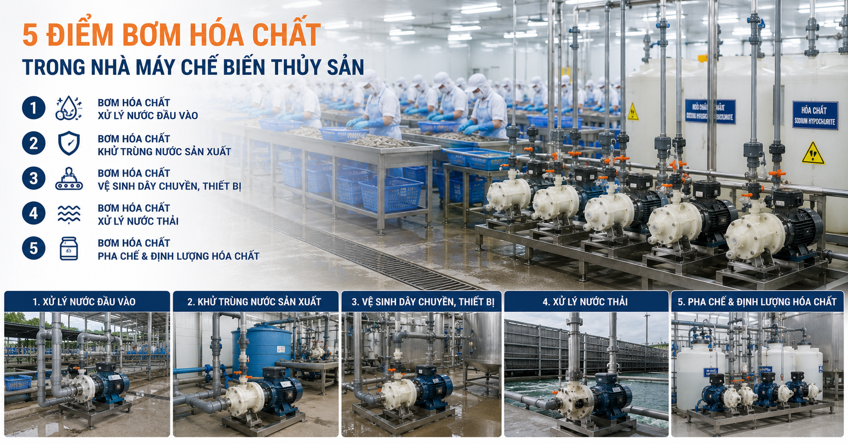 5 Điểm Bơm Hóa Chất Trong Nhà Máy Chế Biến Thủy Sản | Pump Pro