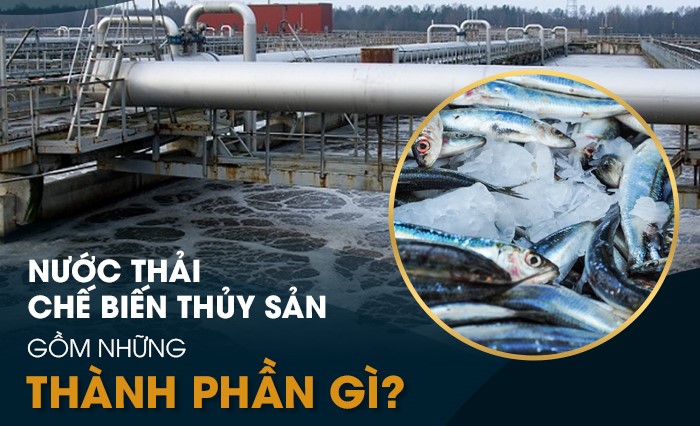 Nước thải tại nhà máy thủy sản