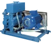 Bơm hút chân không công nghiệp LRVS và CRVS nhập khẩu – ROBUSCHI | Pump Pro