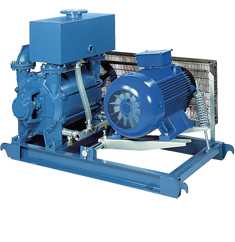Bơm hút chân không công nghiệp LRVS và CRVS nhập khẩu – ROBUSCHI | Pump Pro