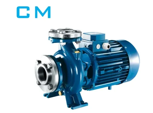 Máy bơm nước ly tâm công nghiệp Matra CM 65-125B (5.5 kw-7.5 hp) | Pump Pro