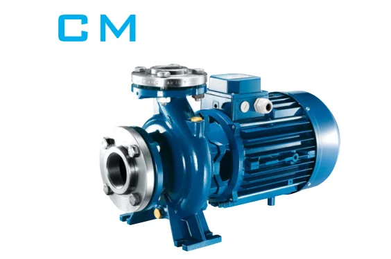 Máy bơm nước ly tâm công nghiệp Matra CM 65-125B (5.5 kw-7.5 hp) Máy bơm nước ly tâm công nghiệp Matra CM 65-125B (5.5 kw-7.5 hp) | Pump Pro