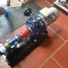 Máy Bơm bánh răng bơm keo NYP2.3MS nhập khẩu chính hãng | Pump Pro