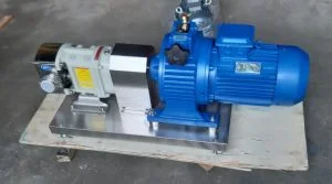 Máy Bơm thực phẩm LOBE cánh khế HLP3A-9 nhập khẩu chính hãng | Pump Pro