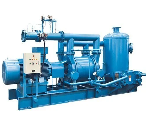 Bơm chân không Kaiquan và máy nén vòng chất lỏng 2BWD | Pump Pro