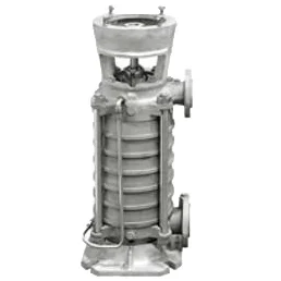 Bơm ly tâm trục đứng đa tầng cánh MS nhập khẩu – DP PUMPS | Pump Pro