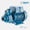 Máy bơm ly tâm lốc xoáy Pentax PM 80 (750W) | Pump Pro