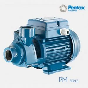 Máy bơm ly tâm lốc xoáy Pentax PM 80 (750W) | Pump Pro