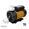 Bơm nước hồ bơi đầu nhựa EWARA Model TDA100 | Pump Pro