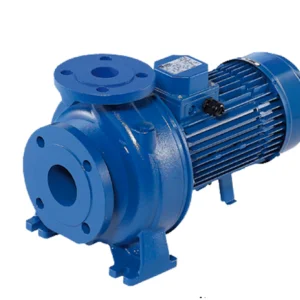 Máy bơm ly tâm công nghiệp Ebara 3D 50-160/5.5 (5.5 kw) | Pump Pro