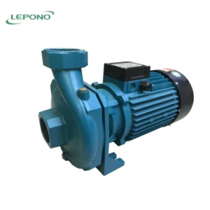 Bơm lưu lượng Lepono XS 80 (2.2KW) | Pump Pro