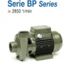 Bơm ly tâm trục ngang SAER Model BP5 – 1 pha | Pump Pro