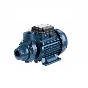 Bơm ly tâm lốc xoáy Ebara PRA 100M (750W) | Pump Pro