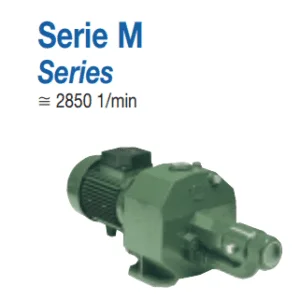 Bơm ly tâm trục ngang SAER Model M200 – 1 pha | Pump Pro
