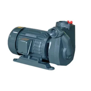 Bơm trục ngang APP HC 20 (1.5KW) | Pump Pro