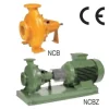 Đầu bơm ly tâm rời trục SAER Model NCB50-250NA | Pump Pro