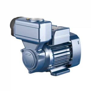 Máy bơm chân không Pedrollo PKSm 80 (750w) | Pump Pro