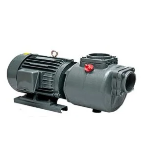 Bơm trục ngang APP SC 50 (3.7KW) | Pump Pro