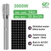 Máy bơm chìm AC/DC máy bơm nước năng lượng mặt trời cho hệ thống bơm nước nông nghiệp | Pump Pro