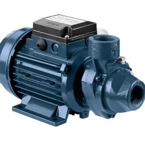 Máy bơm ly tâm lốc xoáy EBARA PRA 200 M (1.5 kw) | Pump Pro