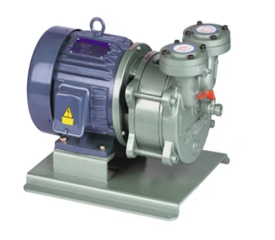 Bơm hút chân không vòng nước đầu liền | Pump Pro