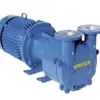 Bơm hút chân không vòng nước một cấp robuschi | Pump Pro